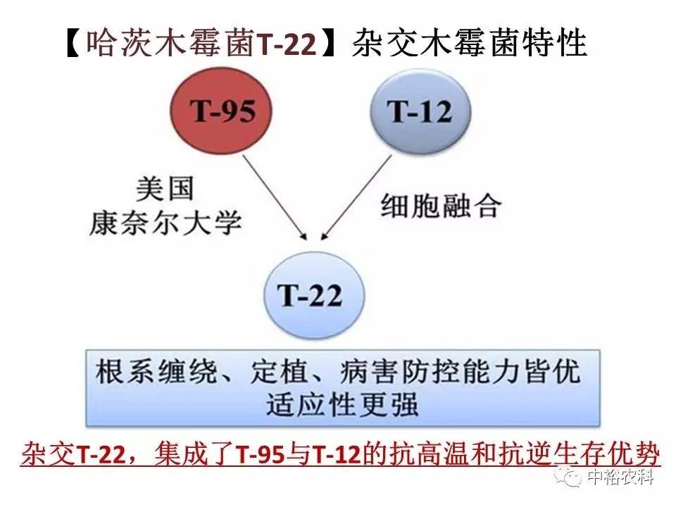 工艺塑胶玩具 第7页