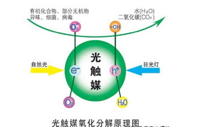 三元催化粉末会对人体有害吗