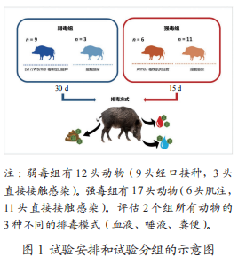 动物采样箱