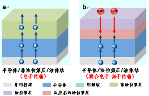 螺杆元件