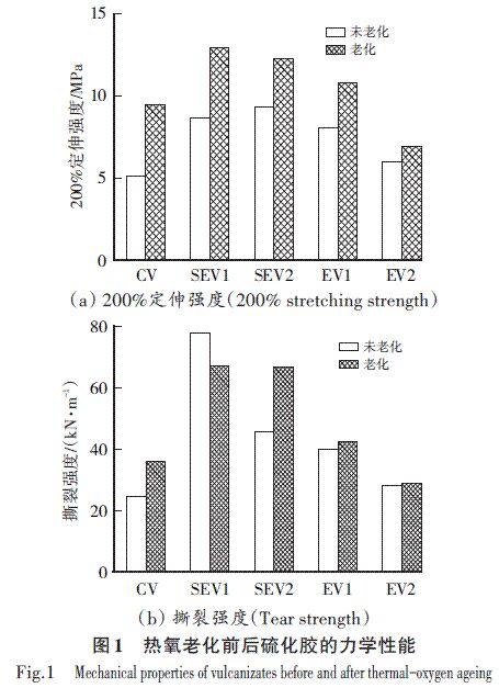 硫化体系的作用