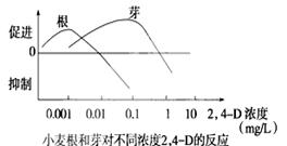 辐条原理