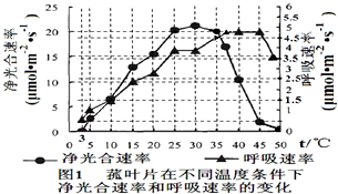 食物罩与服装厂用灯的区别