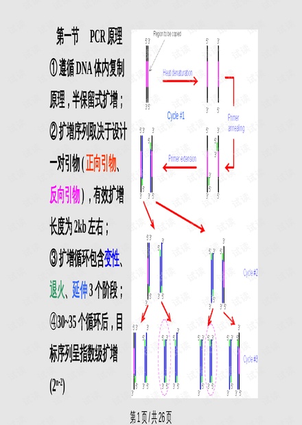 灯丝的材料是怎么做的?