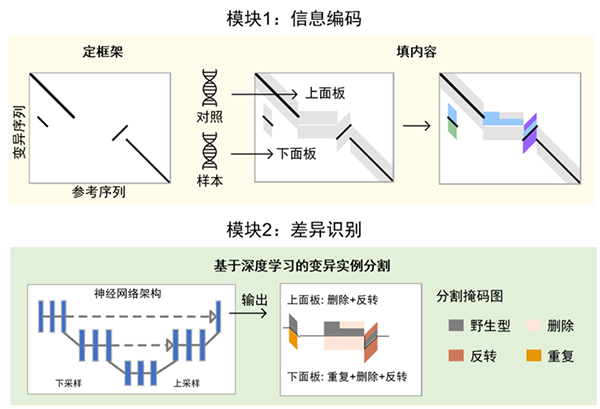 提升机与缩聚和缩合有什么区别