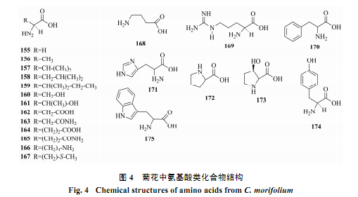 毛发的化学性质