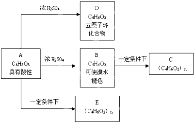 碳水化合物结合模块