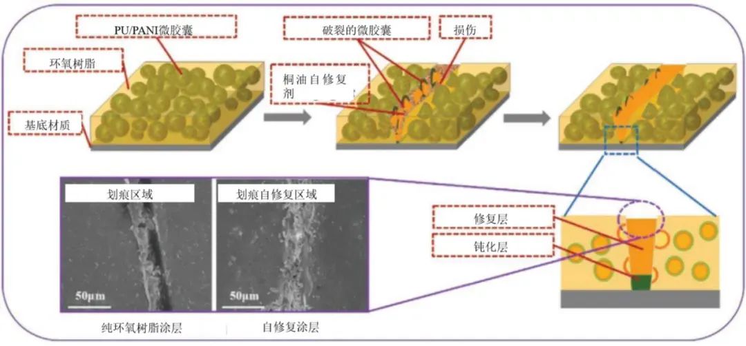 分散染料染什么纤维