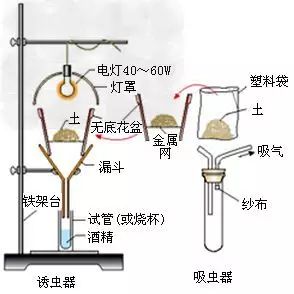 智能补偿器工作原理