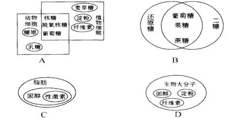 金属丝绳属于什么